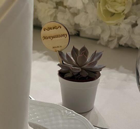 Élő növény esküvői köszönetajándék – egyedi ültető táblával