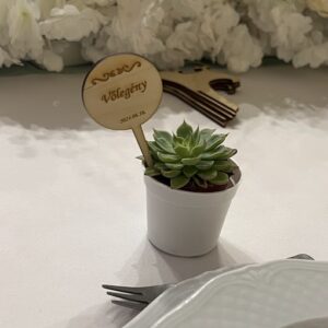 Élő növény esküvői köszönetajándék – egyedi ültető táblával